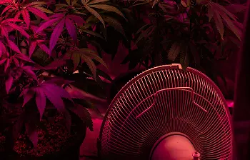 Wentylacja Wentylacja