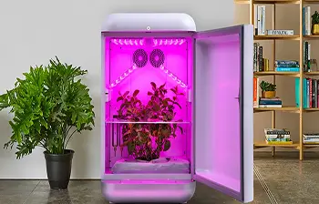 Growbox Growbox