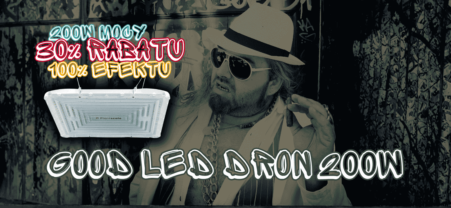 zapłać po paypo raty