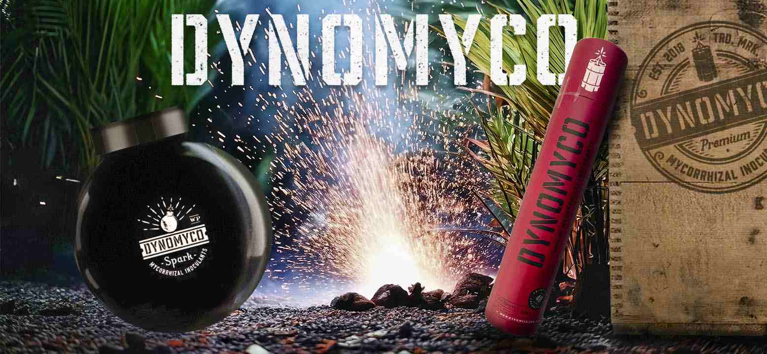 dynomyco