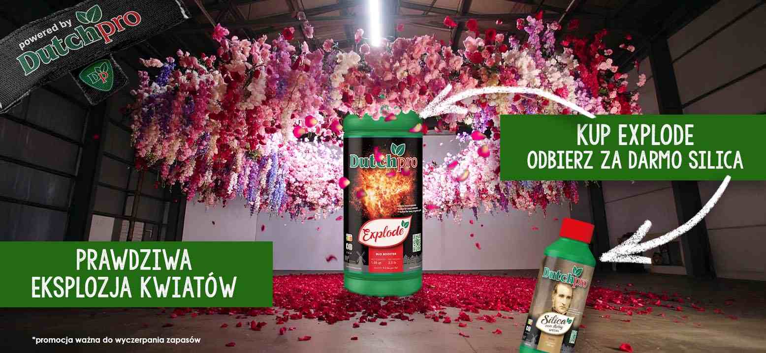 promocja gratis darmowe ducthpro explode silica darmo zestaw promopack