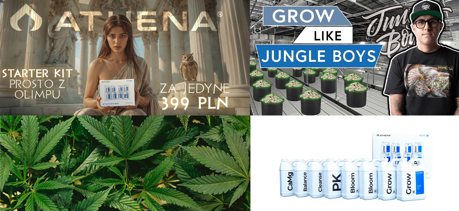 athena starter kit zestaw startowy pk grow bloom cleanse camg balance