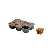 Eazy Plug 6szt. Taca do klonów,sadzonek,wysiewu nasion