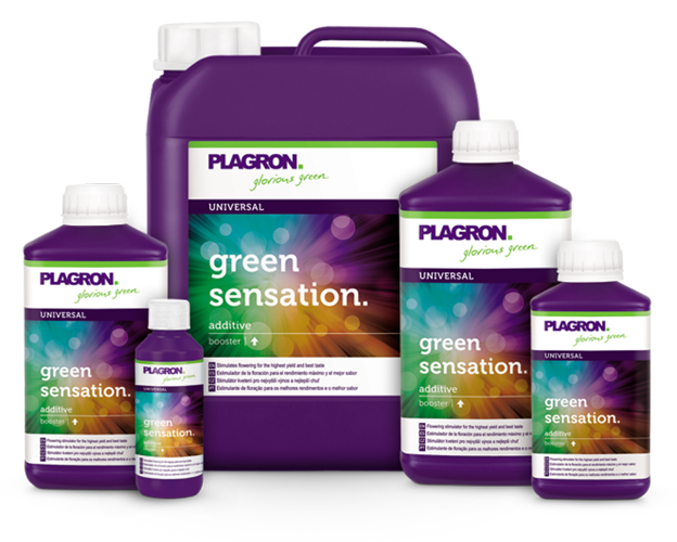 Plagron Green Sensation - stymulator kwitnienia