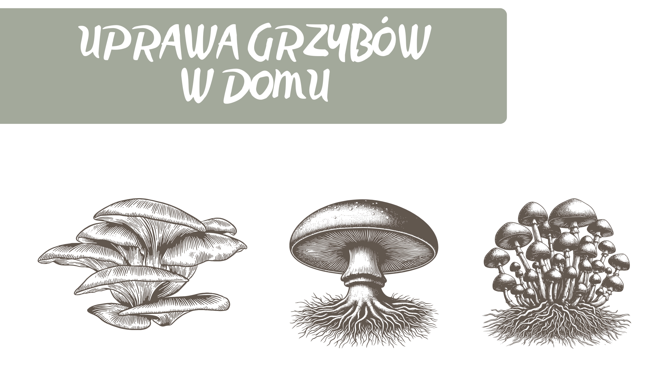 Uprawa grzybów w domu