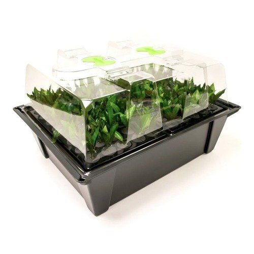  Propagator Nutriculture 12 sadzonek