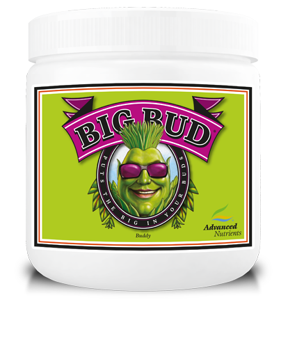 BIG BUD - stymulator kwitnienia, proszek