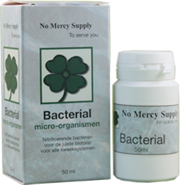 Bacterial 50ml