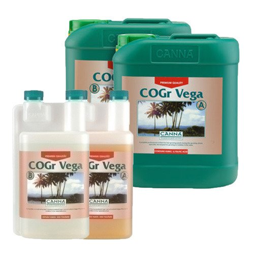 CANNA COGr Vega A+B - wzrost