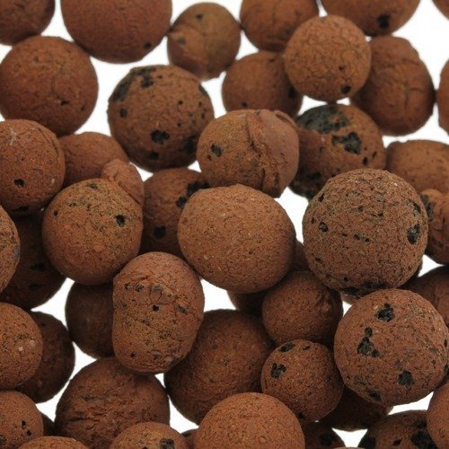 Canna Aqua Clay Pebbles Granulat 8/16 20L 