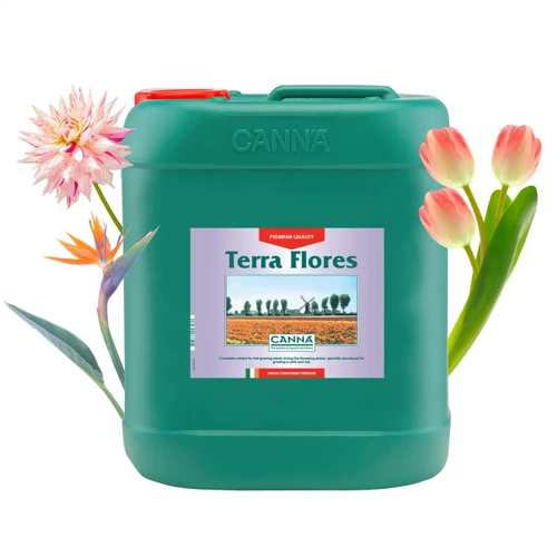 Canna Terra Flores - kwitnienie