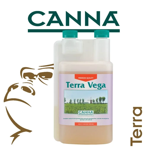 Canna Terra Vega - wzrost