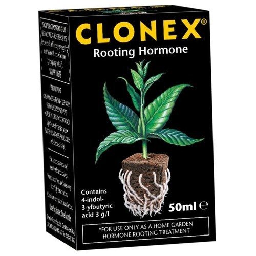 Clonex 50ml