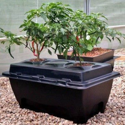 KOMPLETNY SYSTEM HYDROPONICZNY OXYPOT, 70L, 83x58.5xh38cm, 2 PLANTY