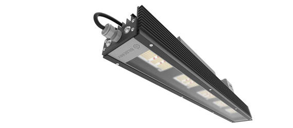 Lampa LED Bilberry Grow Mini 160W