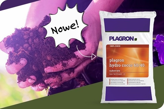 Plagron Cocos Premium 50L