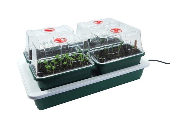 Propagator 38,5x24x h15,5cm 230V + 4 SZKLARENKI