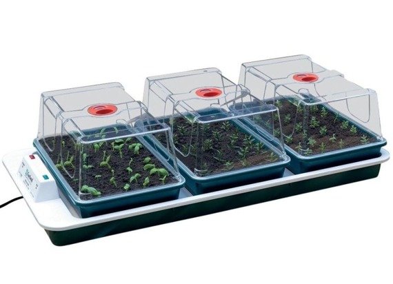 Propagator 85x41x h20,5cm 230V + 3 SZKLARENKI