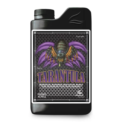 TARANTULA