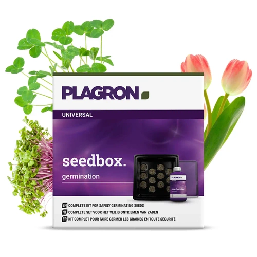 Plagron Seedbox - zestaw do kiełkowania