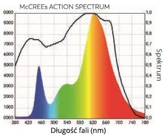 Lampa LED SPECTROLIGHT BLAST 400W SOCZEWKA 120°