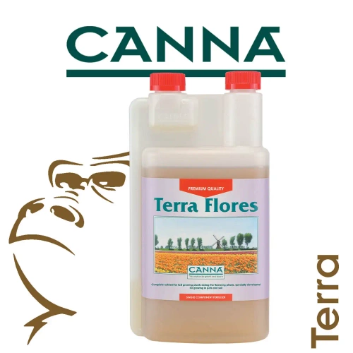 Canna Terra Flores - kwitnienie