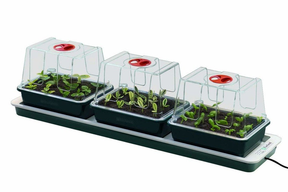 Propagator 76x18,5x h19,5cm 230V + 3 SZKLARENKI