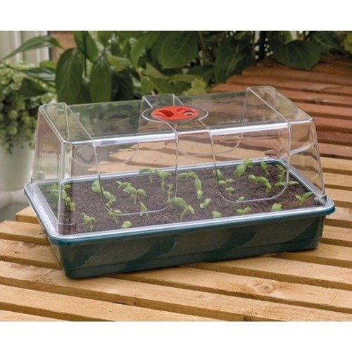 Mini szklarenka / Propagator do ukorzeniania i kiełkowania 37,5x23xh18cm