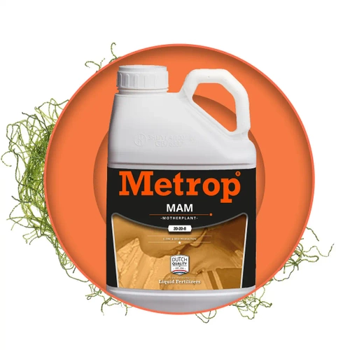 Metrop MAM 250ml