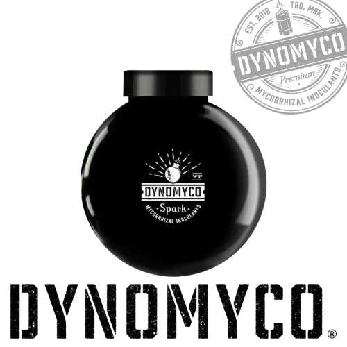 Dynomyco Spark 3 w 1 proszek