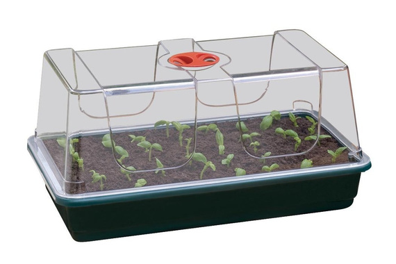 Mini szklarenka / Propagator do ukorzeniania i kiełkowania 37,5x23xh18cm