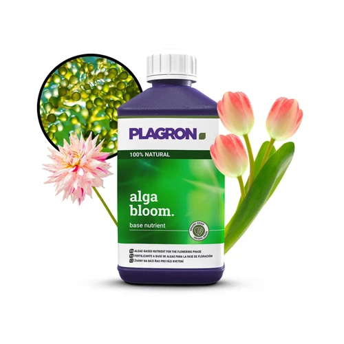 Plagron Alga Bloom - nawóz organiczny na kwitnienie