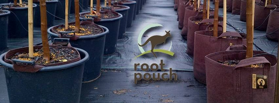 Doniczka okrągła materiałowa z uchwytem Root Pouch