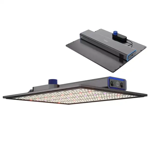 Lampa HUSSAR LED PRO 250W UV + IR