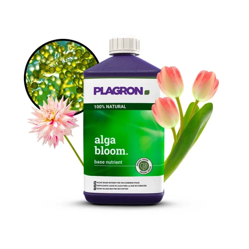 Plagron Alga Bloom - nawóz organiczny na kwitnienie