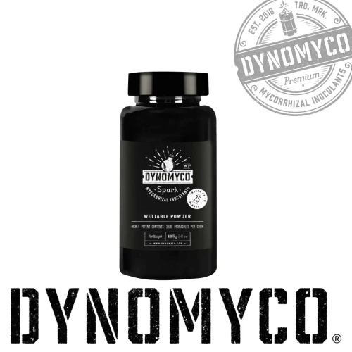 Dynomyco Spark 3 w 1 proszek