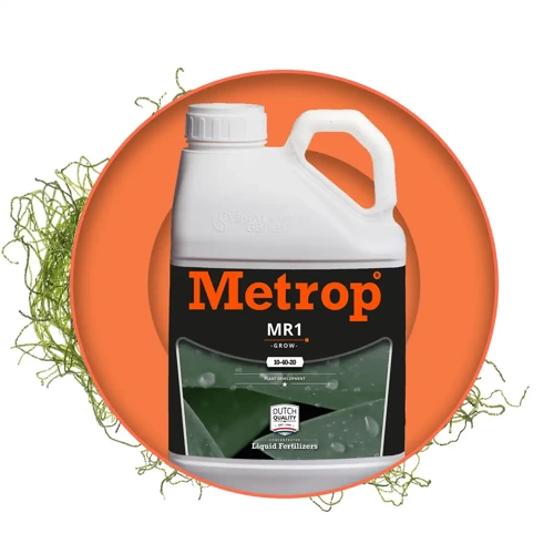 Metrop MR1 Grow - wzrost